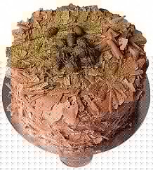 6-9 Kişilik Butik Kalite Çikolatalı Drajeli Pasta Tasarımı Siirt pasta